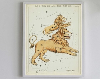 Leo Art Print - Lion Print - Vintage Star Chart Illustration - Astrology Chart - Gift for Leo - July August Birthday Gift - Nursery Decor