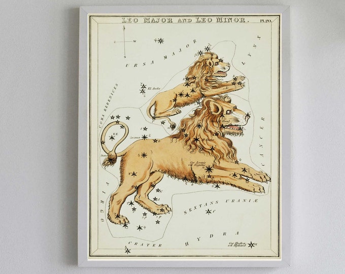 Leo Art Print - Lion Print - Vintage Star Chart Illustration - Astrology Chart - Gift for Leo - July August Birthday Gift - Nursery Decor