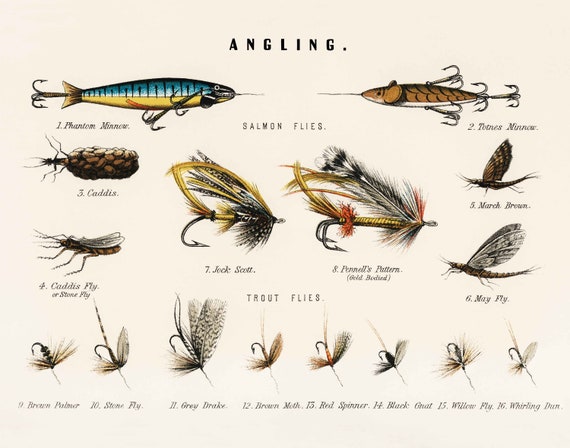 Fishing Art Print Chart of Fly Fishing Gear Caddis Flies Stone Fly