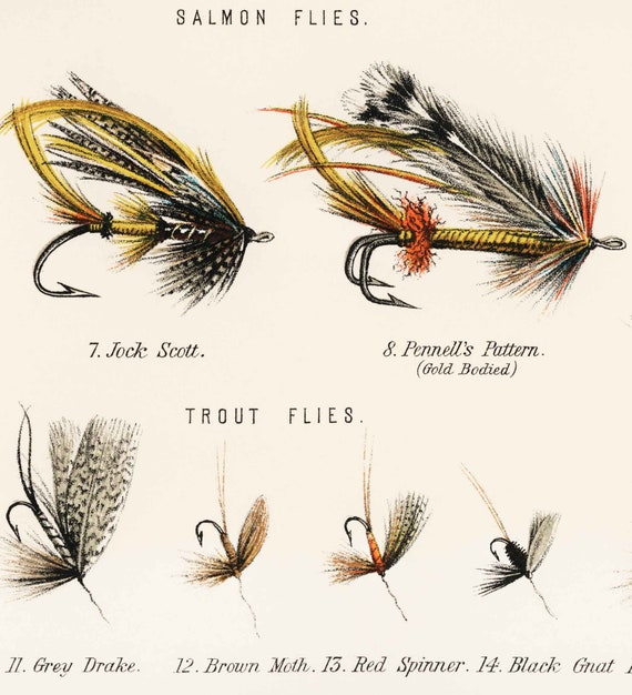 Fly Fishing Flies Chart