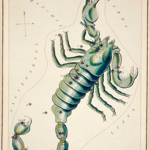 Vintage Scorpio Art Print: Zodiac Star Chart Illustration image 2