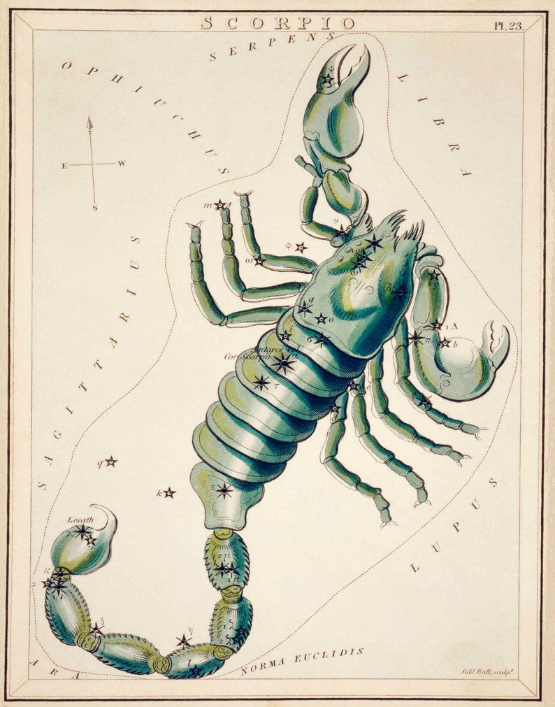 Vintage Scorpio Art Print: Zodiac Star Chart Illustration image 2