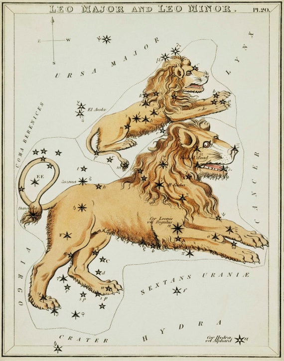 Lion Chart