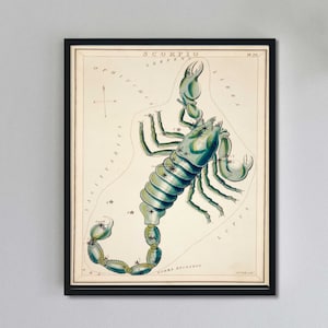 Vintage Scorpio Art Print: Zodiac Star Chart Illustration image 1