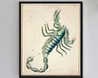 Scorpio Art Print - Zodiac Star Chart October Wall Art - Gift for Scorpio - Vintage Reproduction Illustration - Astrology Art - Celestial