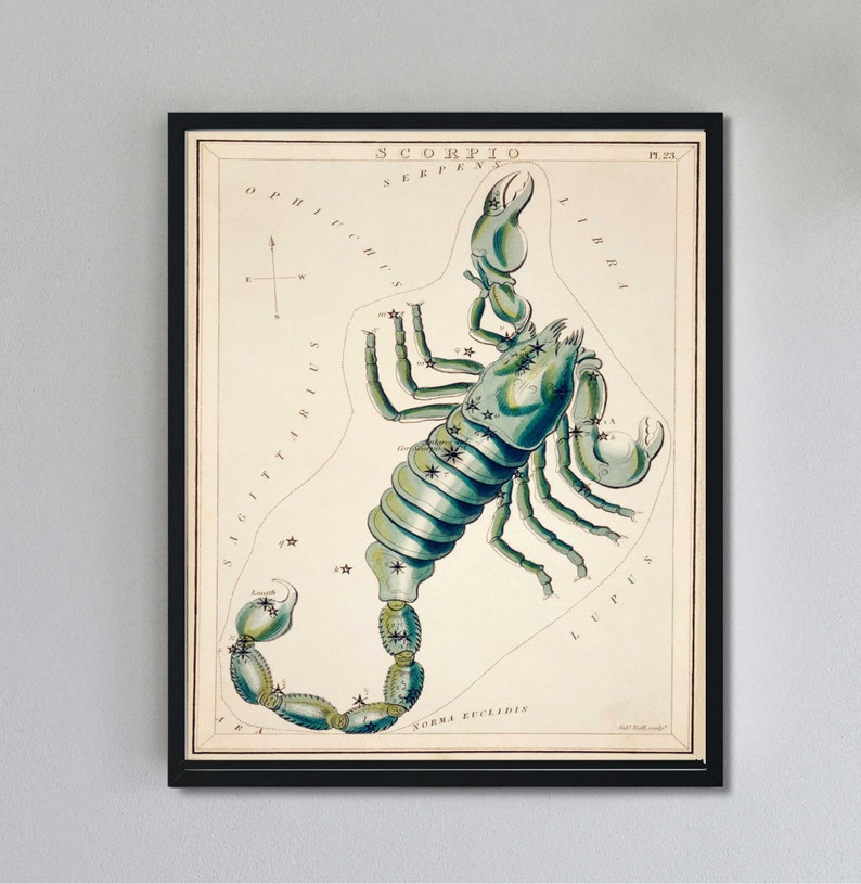 Vintage Scorpio Art Print: Zodiac Star Chart Illustration image 1