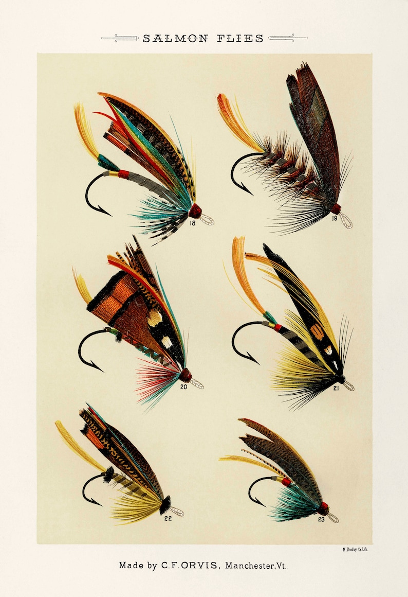 Set of Fly Fishing Art Prints Orvis Salmon Flies Print Set Etsy