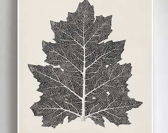 Antique Leaf Art Print: Black Leaf on Beige, Nature Wall Decor