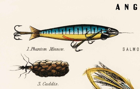 Fishing Art Print Chart of Fly Fishing Gear Caddis Flies Stone Fly