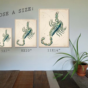 Vintage Scorpio Art Print: Zodiac Star Chart Illustration image 4