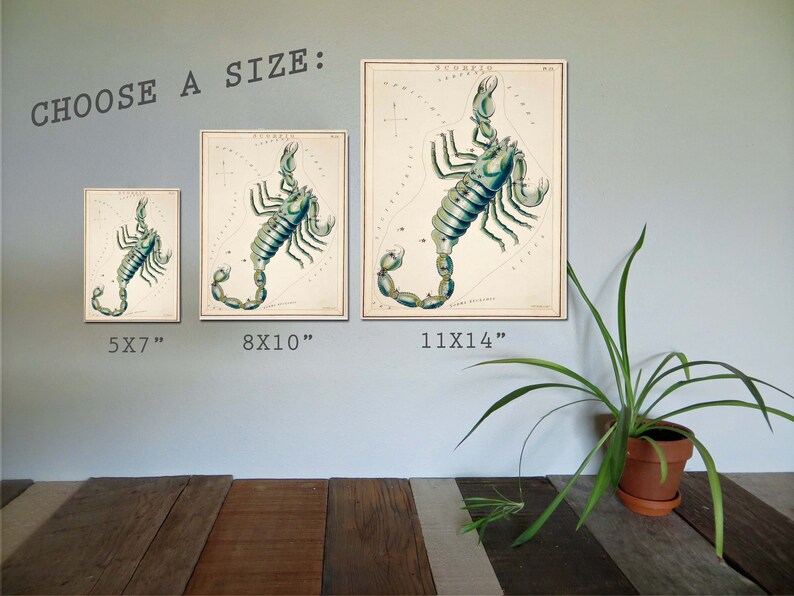 Vintage Scorpio Art Print: Zodiac Star Chart Illustration image 4