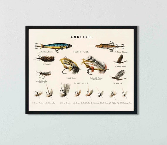 Fishing Art Print Chart of Fly Fishing Gear Caddis Flies Stone Fly Gift for  Fisherman Vintage Reproduction Fish Decor 8X10 11X14 