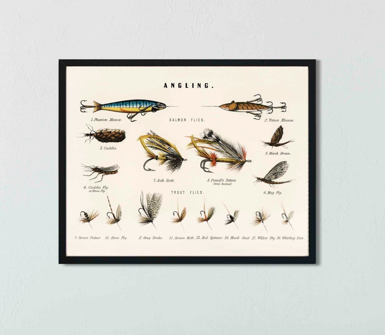 Fly Fishing Flies Chart