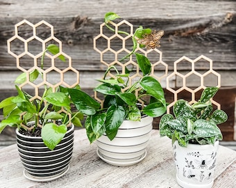 Honeycomb Plant Trellis / Bee Plant Support