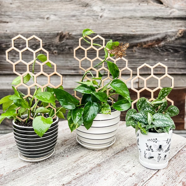 Honeycomb Plant Trellis / Bee Plant Support