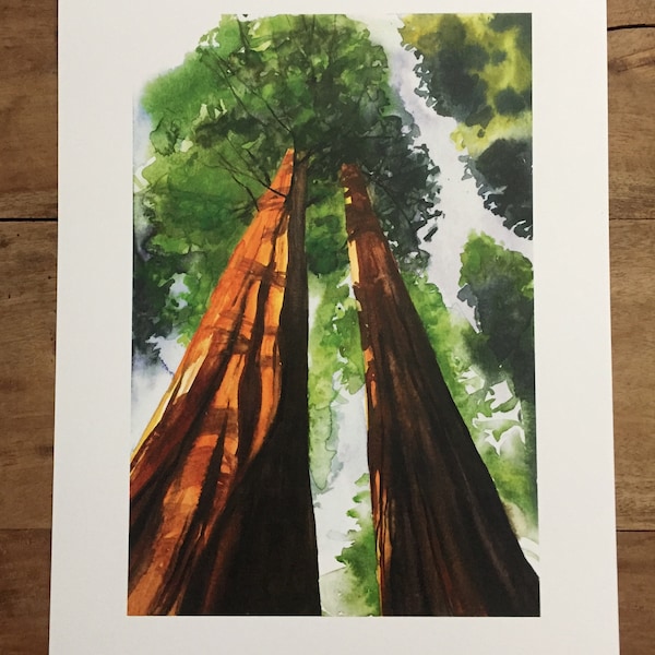 Watercolor sequoias, sequoia print, Sequoias painting, sequoia national park, Yosemite, watercolor trees, tall trees, Tree painting print