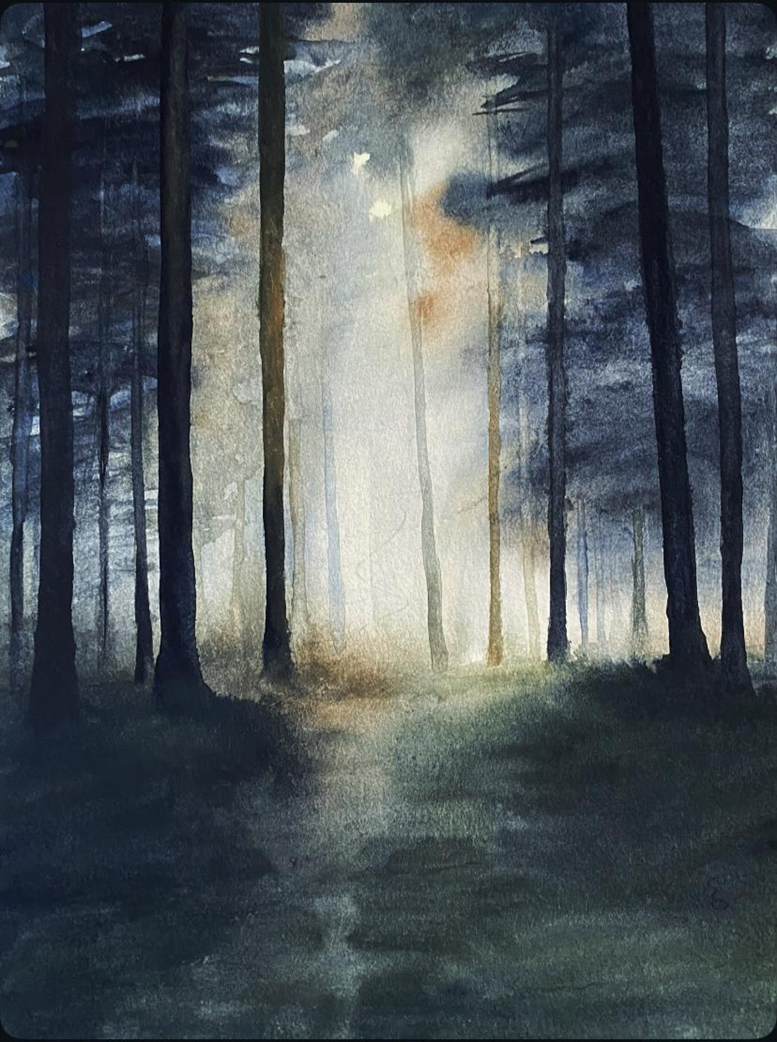 Forest Watercolor, Misty Forest, Watercolor Forest, Pine Forest ...