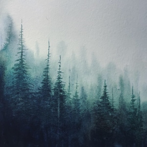 Forest watercolor, pine forest watercolor, pine forest painting, misty pine forest watercolor, watercolor pines, misty pine trees, trees