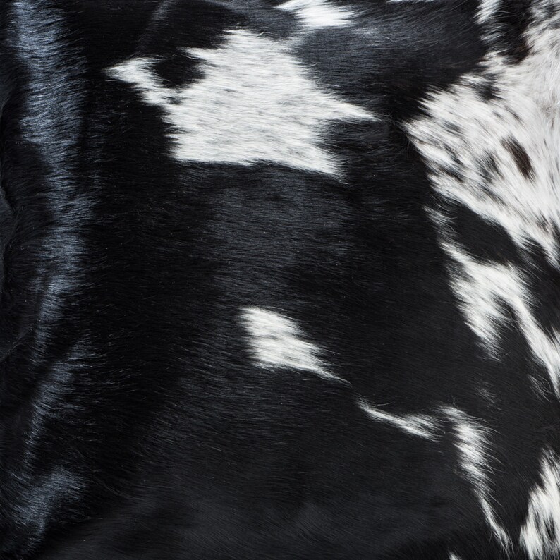Cowhide Pillow unique large 21 x 21 Black and White Nguni cow hide cushion, soft suede back and down/feather insert image 2