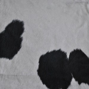 Kohudsmatta - Extra stor, svartvit, Nguni-kohud - Afrikansk kohudsmatta med stora, djärva prickar som skulle se bra ut i alla rum bild 2