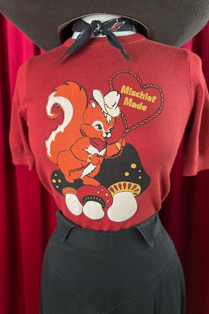 Lasso My Heart short sleeve Sweater size S,M,L,XL in Rust Vintage inspired By MISCHIEF MADE image 3