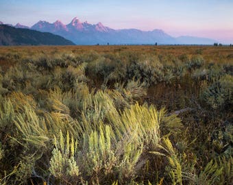 Sunrise on the Sage Flats, Grand Teton National Park, Wyoming