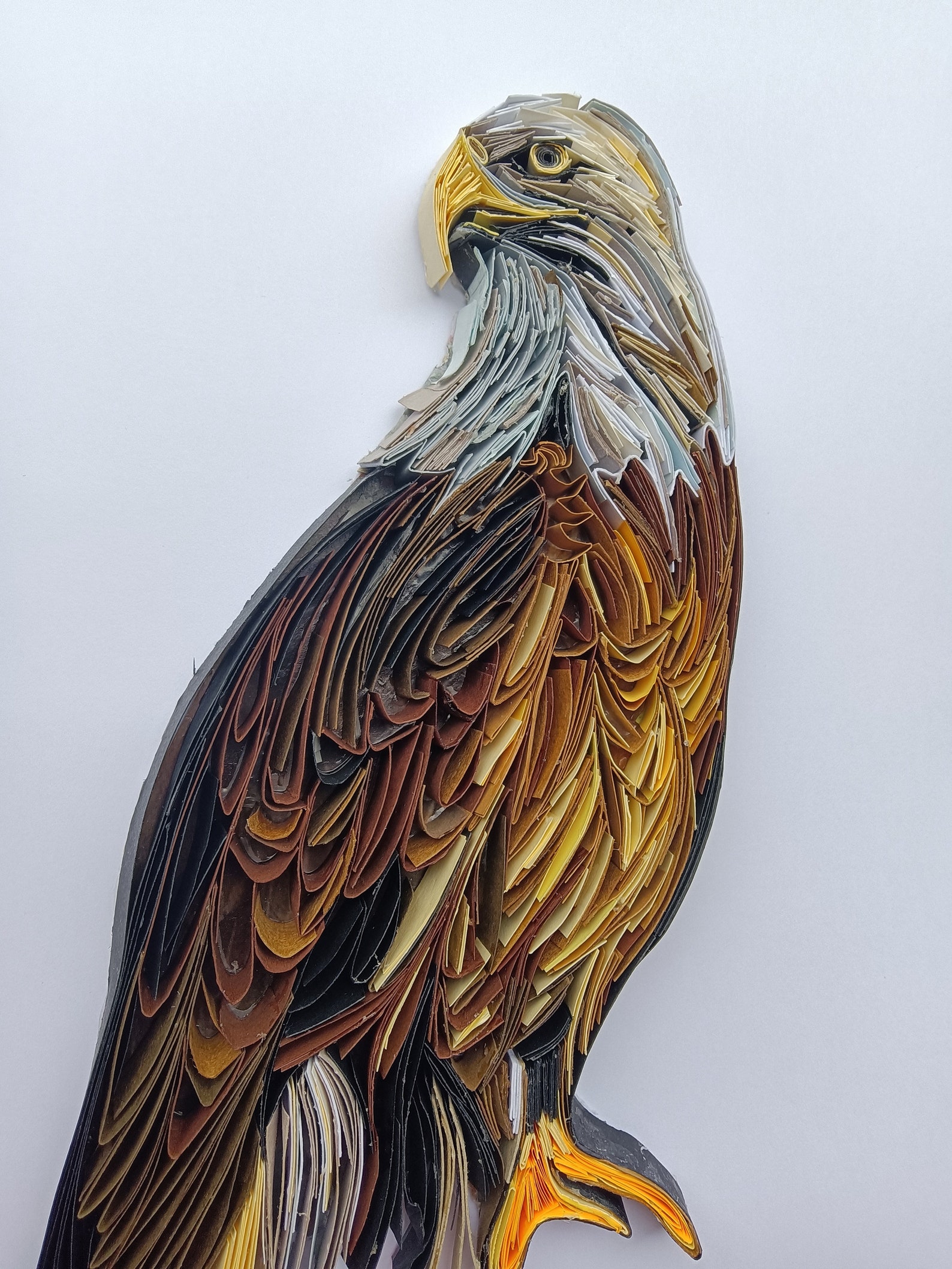 Paper Quilling Animal of Power, Eagle, Quilling Paper Animal, Quilled Tiger Wallpaper, Eagle