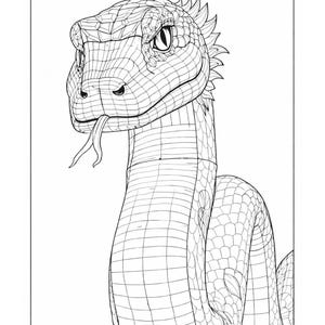 Può includere: Illustrazione in bianco e nero di un serpente con un motivo strutturato e dettagliato. La testa del serpente è in primo piano, con la lingua estesa. L'immagine è un disegno a tratto, adatto per la colorazione o come elemento di design grafico.