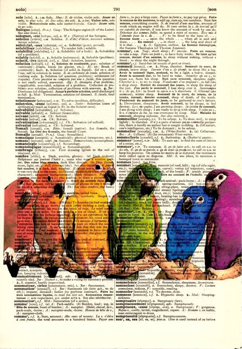 Dictionary Art PrintDigital Illustration drawingVintage Etsy