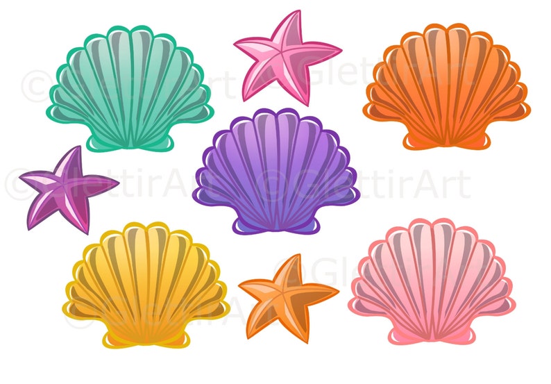 Seashell Clipart, Sea Shell Clipart for Personal and Commercial Use