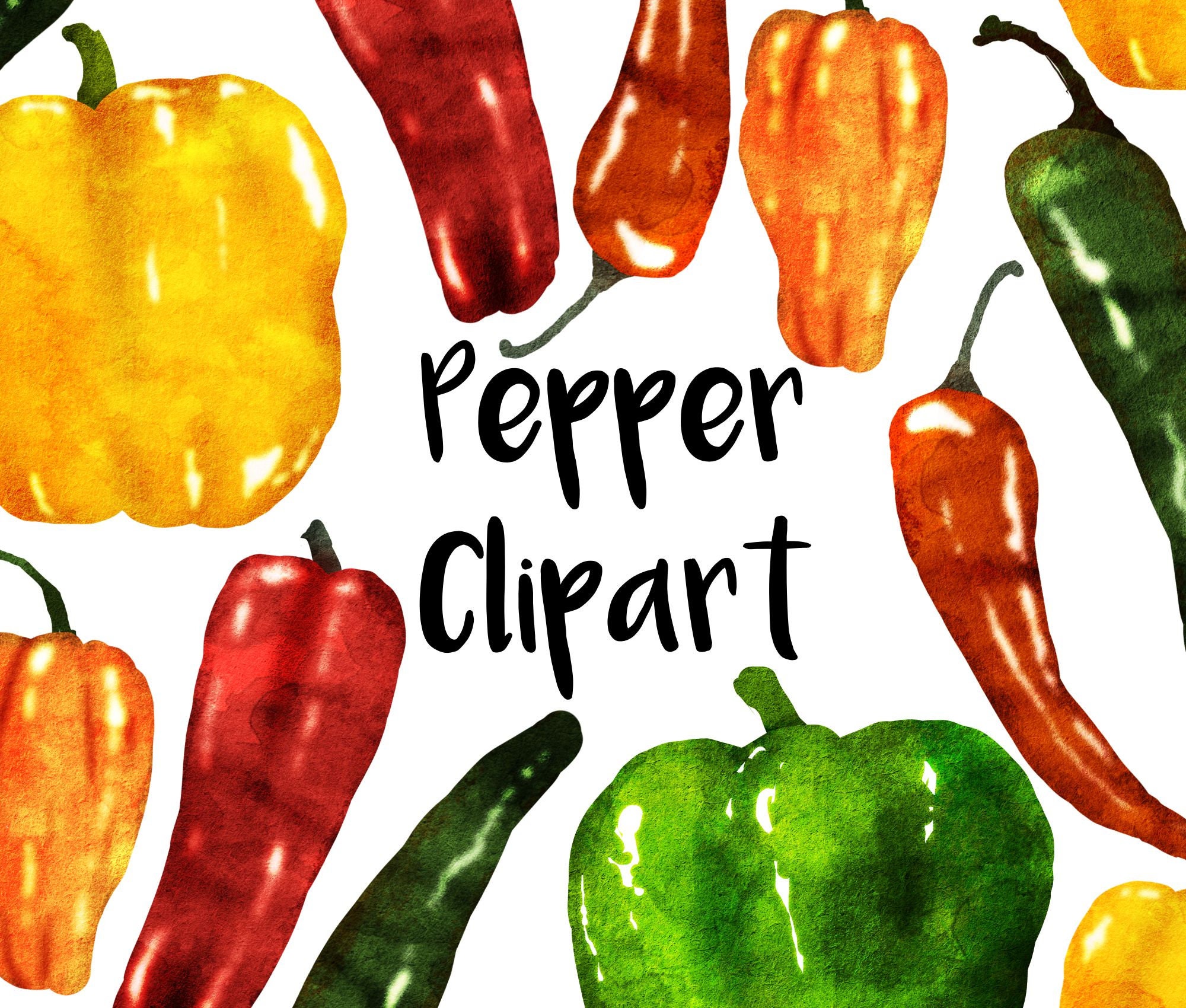 Bell Pepper Painting Print From Original Watercolor Painting, bell