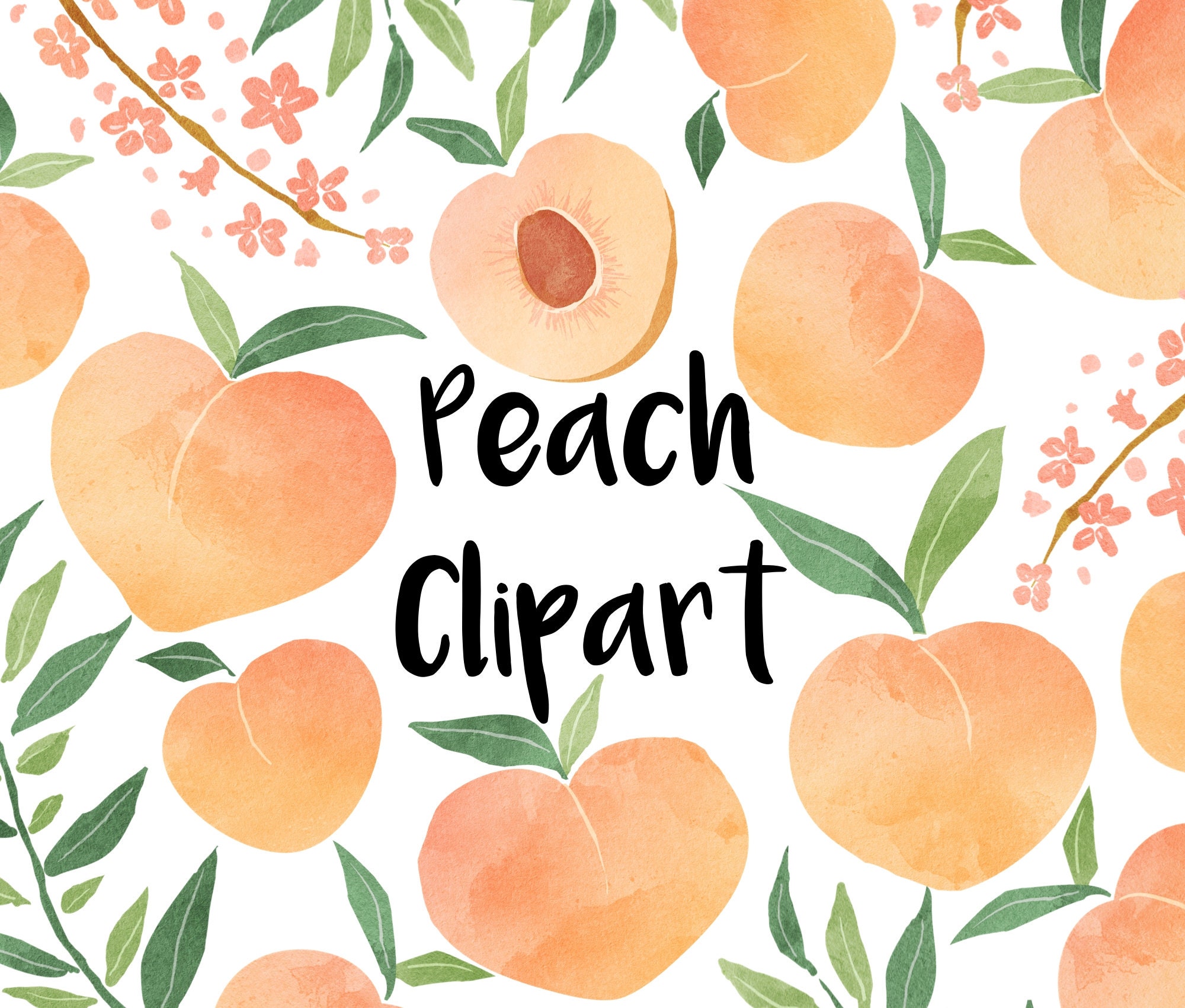 Peaches Watercolor Clipart Instant Download Peach Clip Art Etsy Denmark
