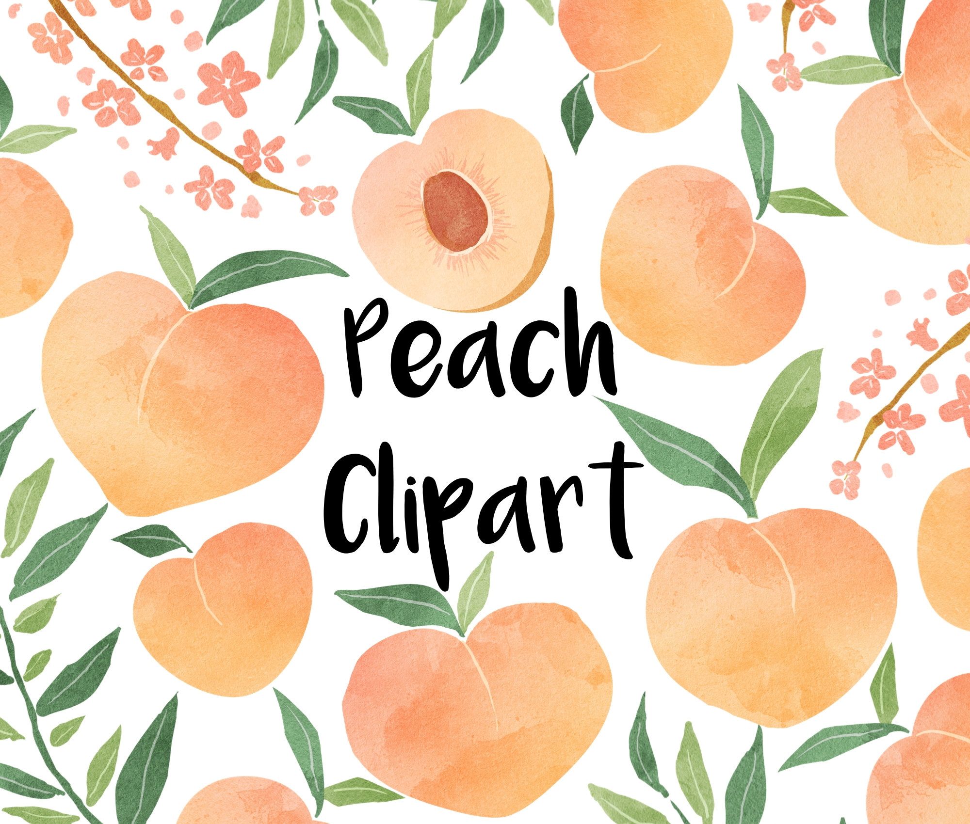 Peaches Watercolor Clipart Instant Download Peach Clip Art - Etsy Denmark