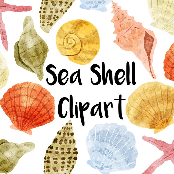 Sea Shell Watercolor Clipart, Pretty Shells Instant download, Conch, Clam, Star Fish