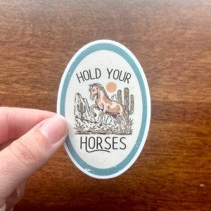 Hold Your Horses Sticker, Western Water Bottle Sticker, Southern Laptop Decal, Horse Lover Gift