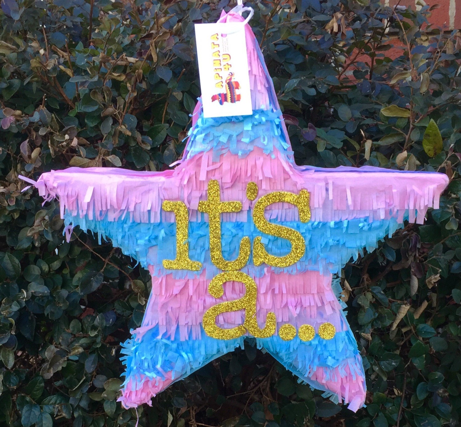 Gender Reveal Pinata
