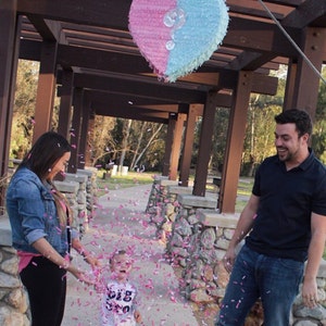 May include: A heart-shaped piñata, split in half with pink and blue sections, hangs above a family. Pink confetti rains down, revealing the gender of the baby. The child wears a shirt that says "Big Bro".