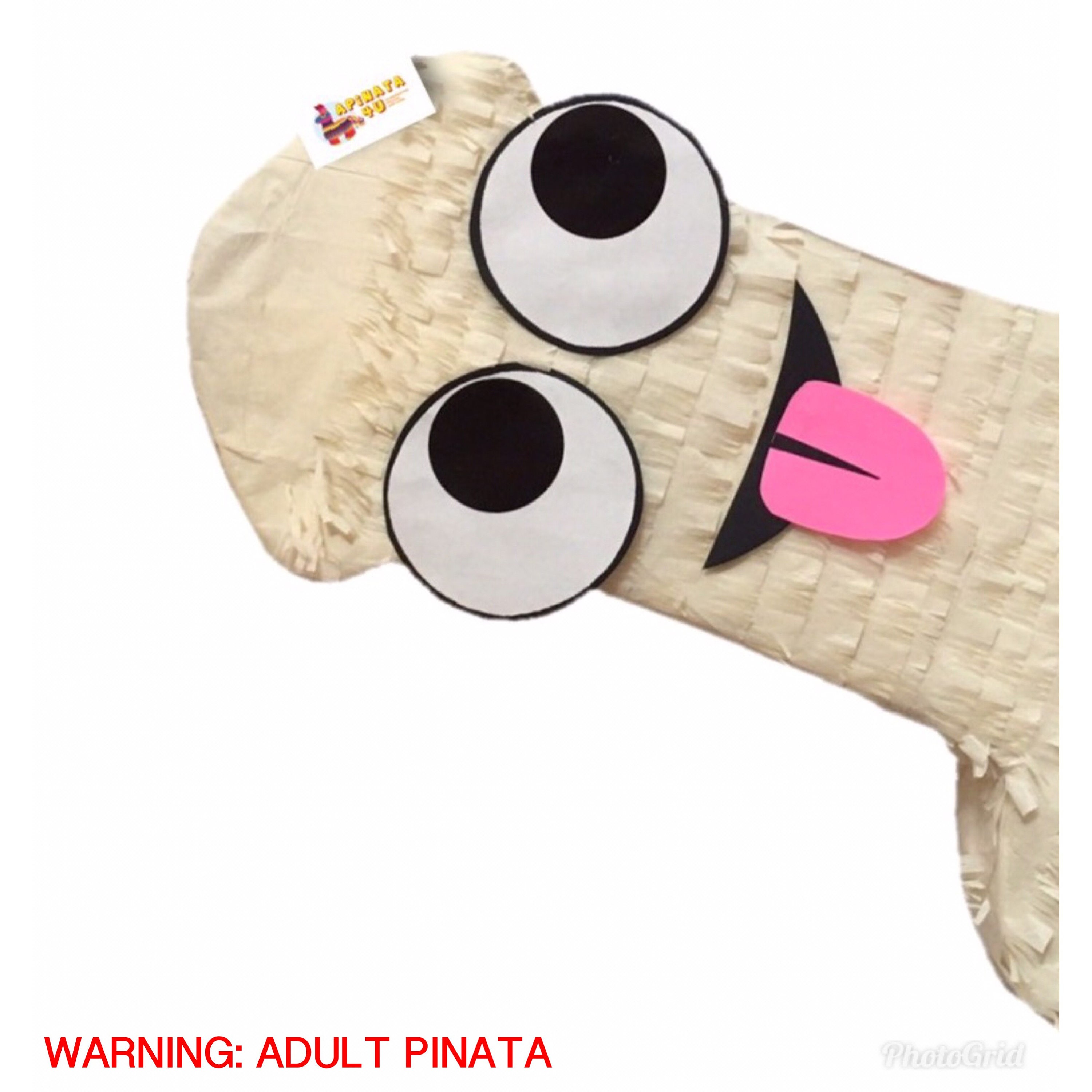 Penis Pinata With Googly Eyes and Tongue, Perfect for Bachelorette 