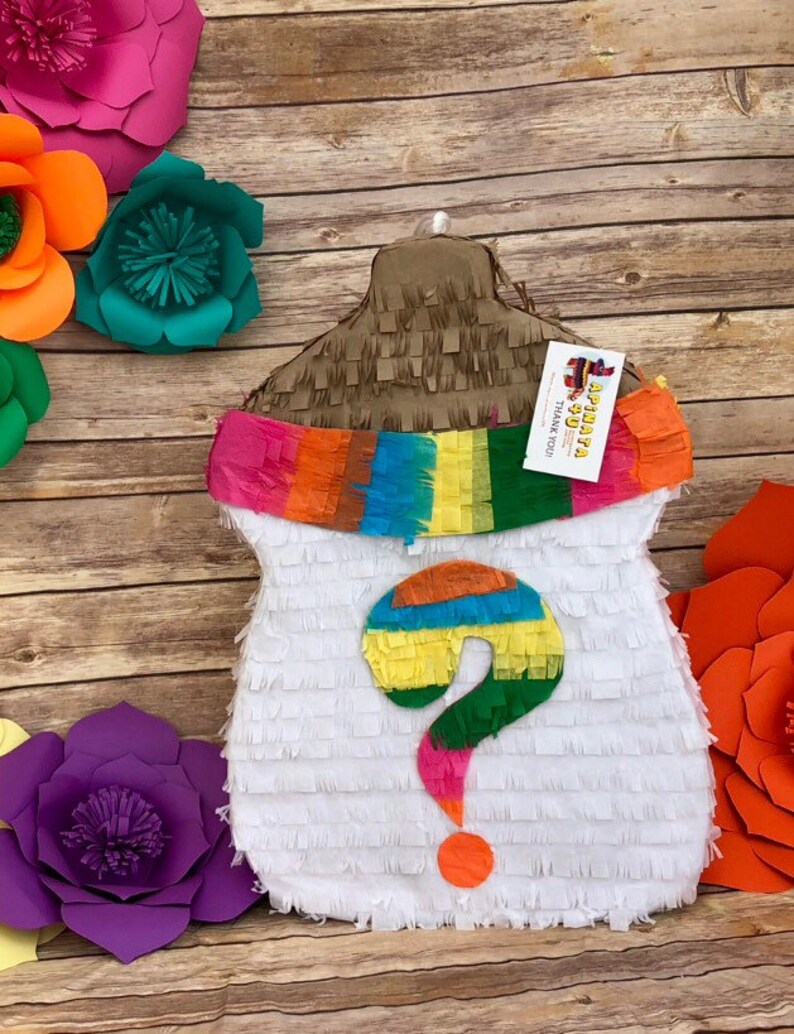 Gender Reveal Pinata