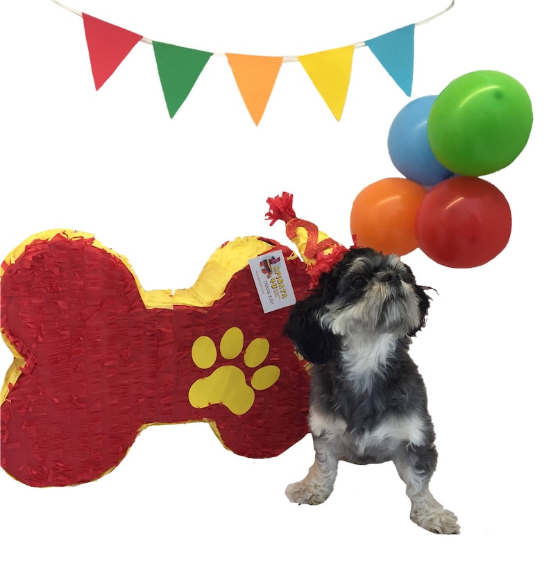 Sale Bone Pinata Puppy Party Favor
