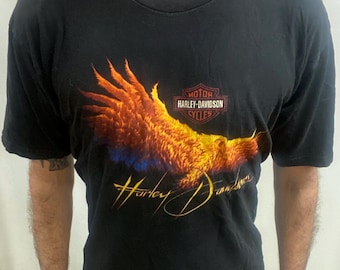 May include: Black t-shirt with a Harley-Davidson eagle graphic in shades of orange, yellow, and blue. The Harley-Davidson logo is above the eagle, and the brand name is written in a cursive font below.