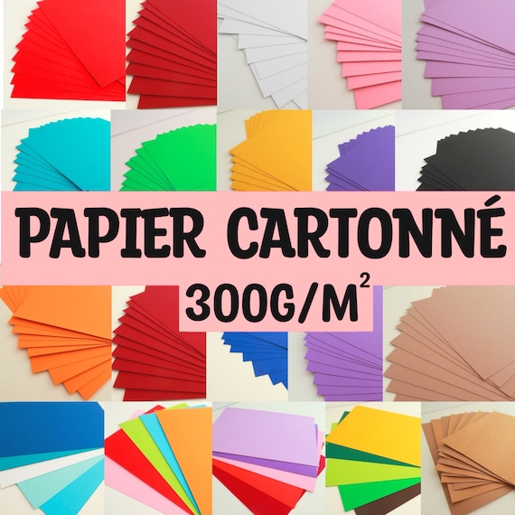 Papier A4 cartonné 300g 5 ou 10 feuilles