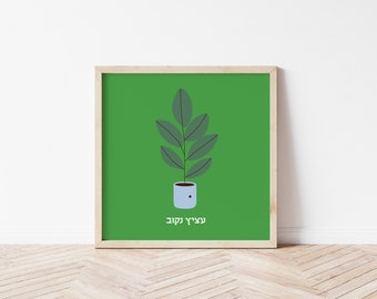 Tu Bishvat Special! Atzitz Nakuv