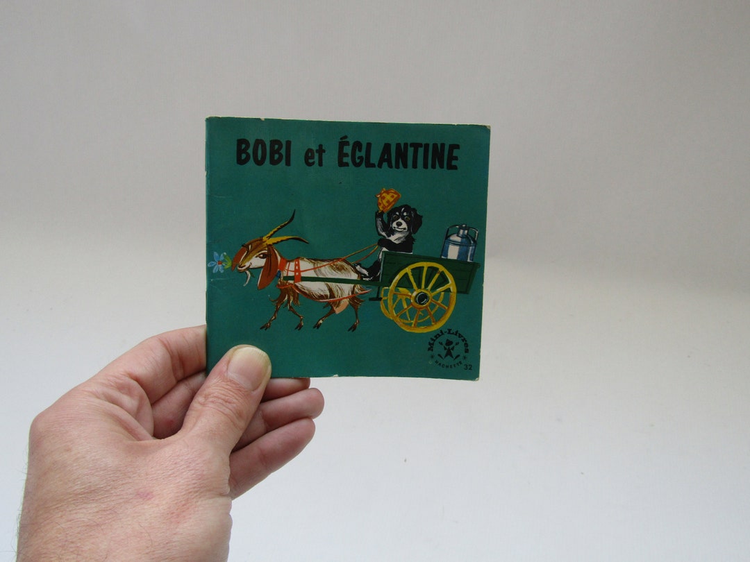 Vintage French Children's Book La Princesse BOBI Et Eglantine, Kid's Book, French Children's