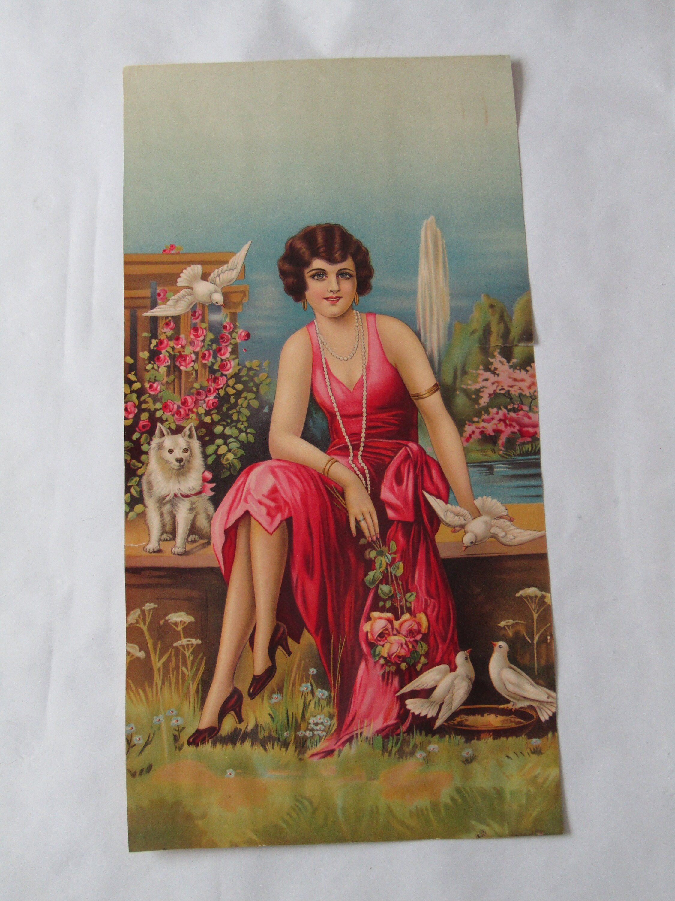 ドイツ ボタニカル画 石版画 (クロモリトグラフ) の額装品 ドイツ 石版画 (クロモリトグラフ) の額装品 植物画 ドイツの