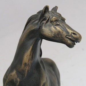 May include: A bronze-toned horse sculpture featuring a detailed head and neck with a dark, weathered finish. The horse is depicted with its head turned to the side, showcasing defined facial features, a sculpted mane, and a textured metallic surface.