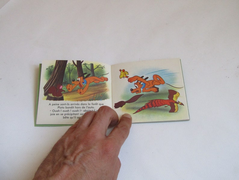 May include: An open book with colorful illustrations of a dog running through a forest. The text on the page reads "A peine sont-ils arrives dans la foret que Pluto bandit hors de l'auto. Quah I ouah I ovah! abpiام الشم joie en se precipitant ver bete qu'il ap"