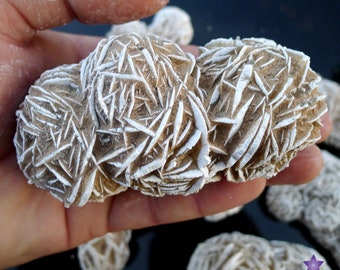 May include: Two brown and white desert rose crystals with a rosette pattern. The crystals are held in a hand.