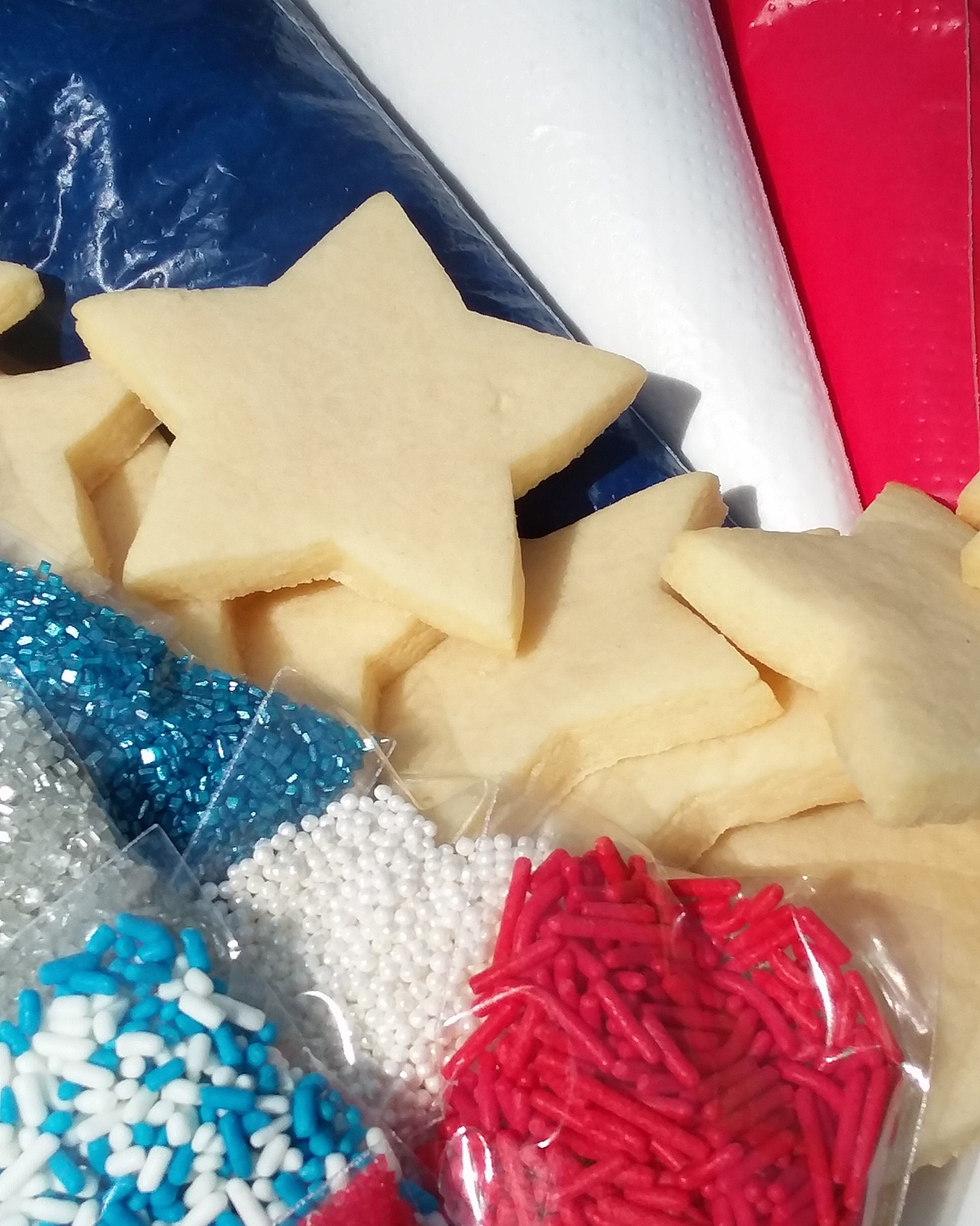 Christmas Cookie Decorating Kit PREORDERS RECOMMENDED | Etsy