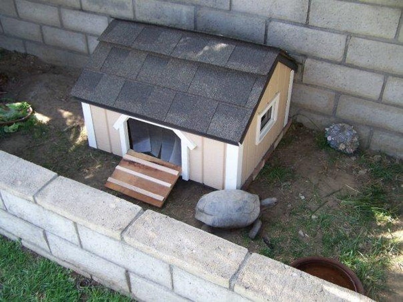 Custom Tortoise / Reptile house Built to orders 48 x 48 画像 4